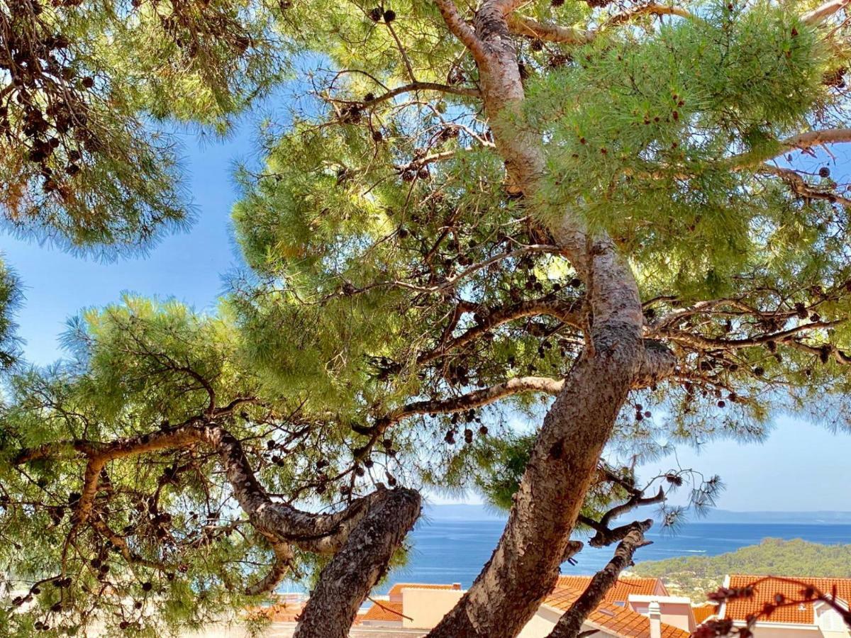 17 Pines Apartamento Makarska Exterior foto