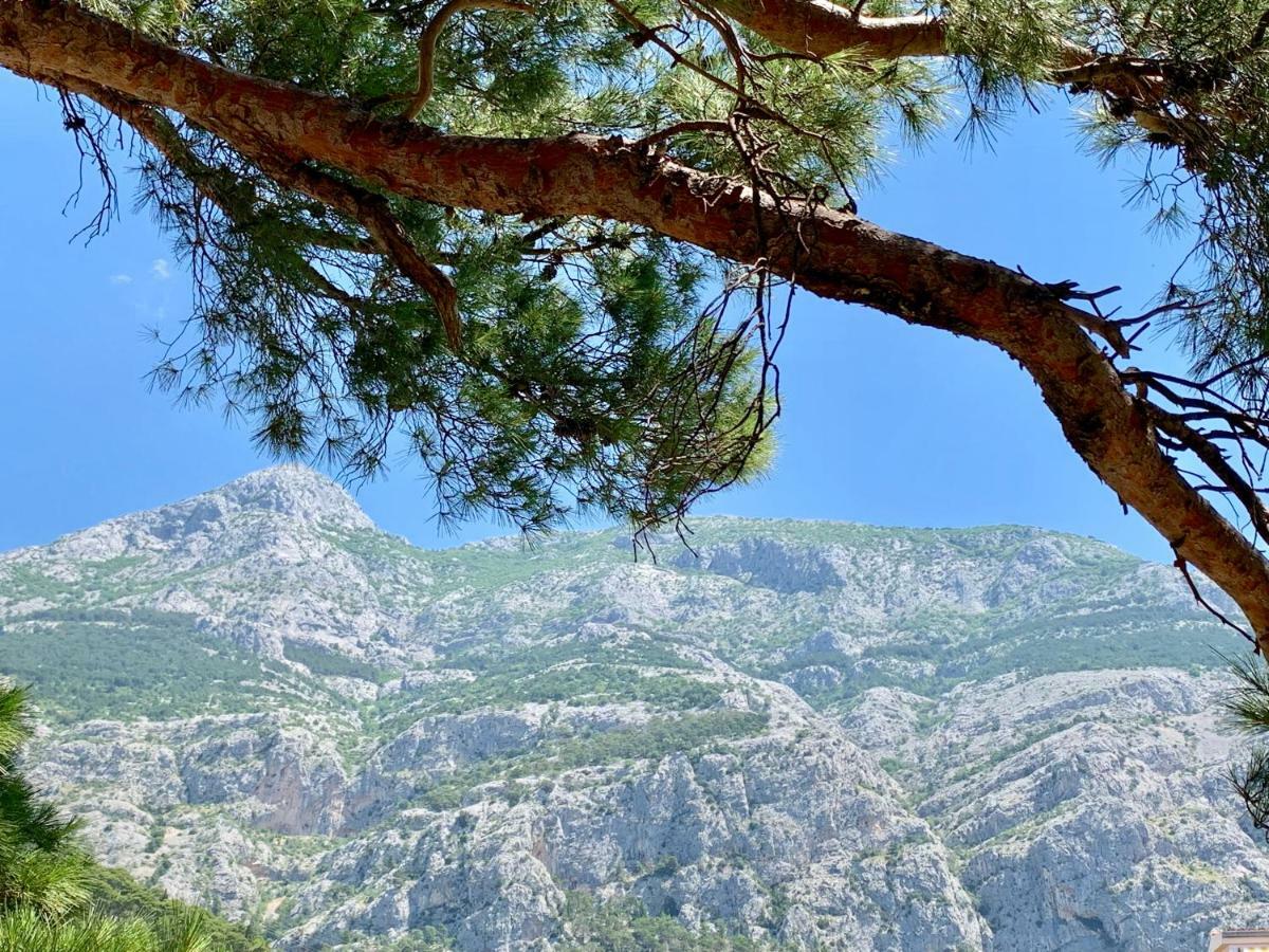 17 Pines Apartamento Makarska Exterior foto